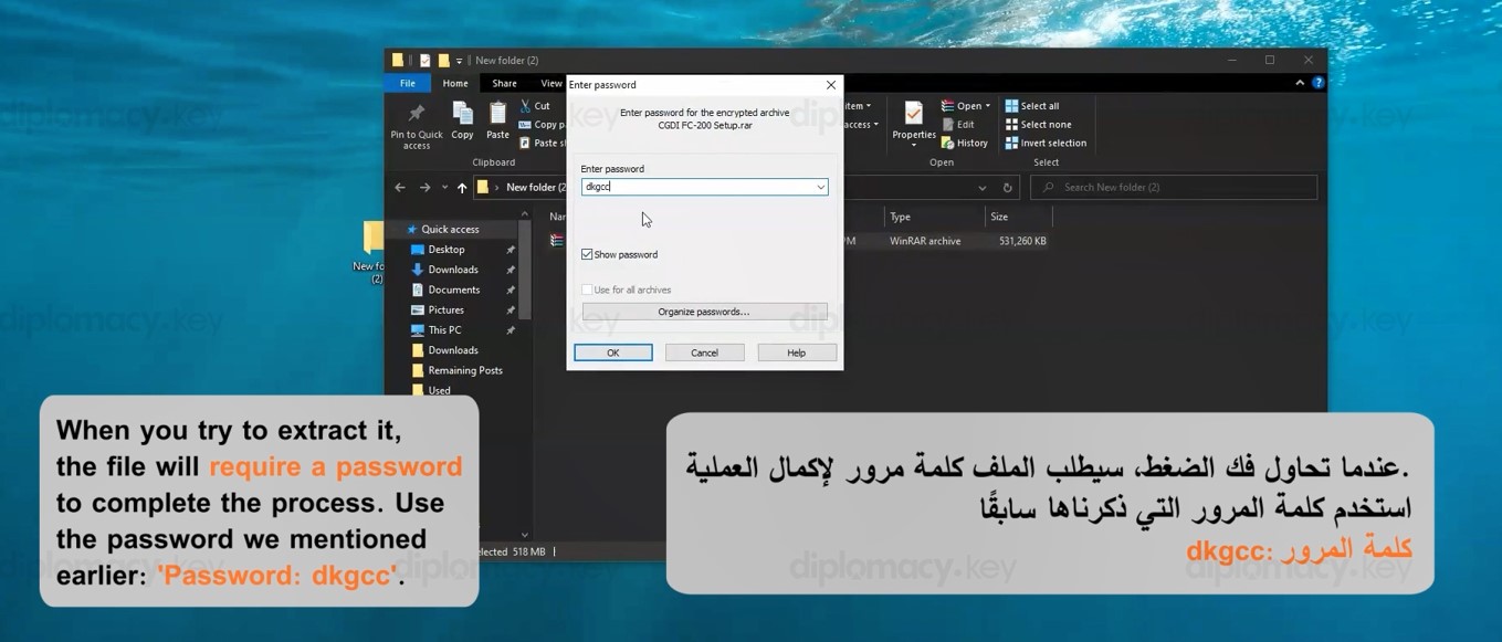 CGDI FC-200 Software Download Setup (2)