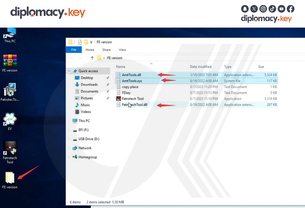 download install and activate fetrotech tool software (7)