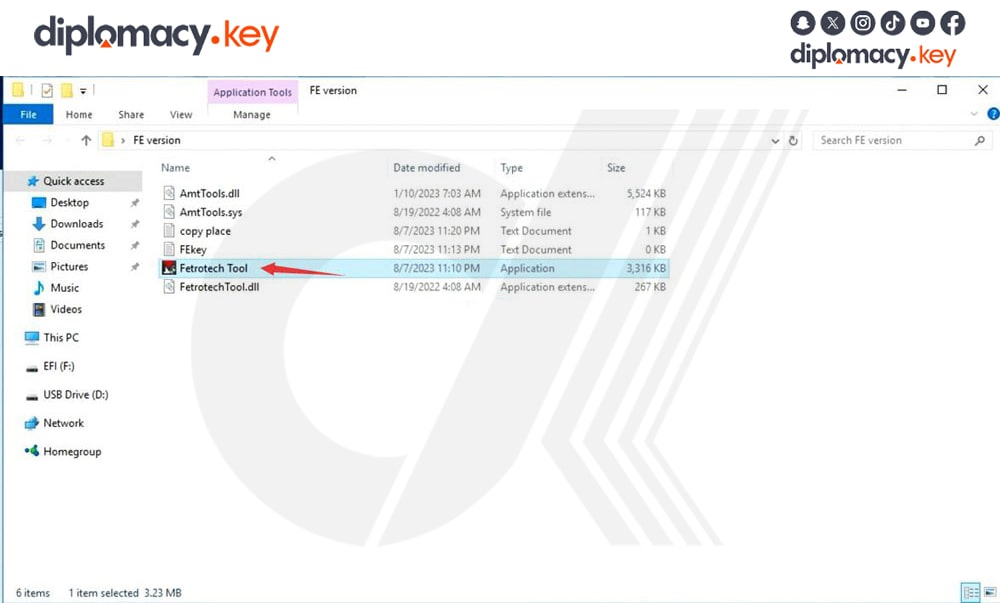 download install and activate fetrotech tool software (10)