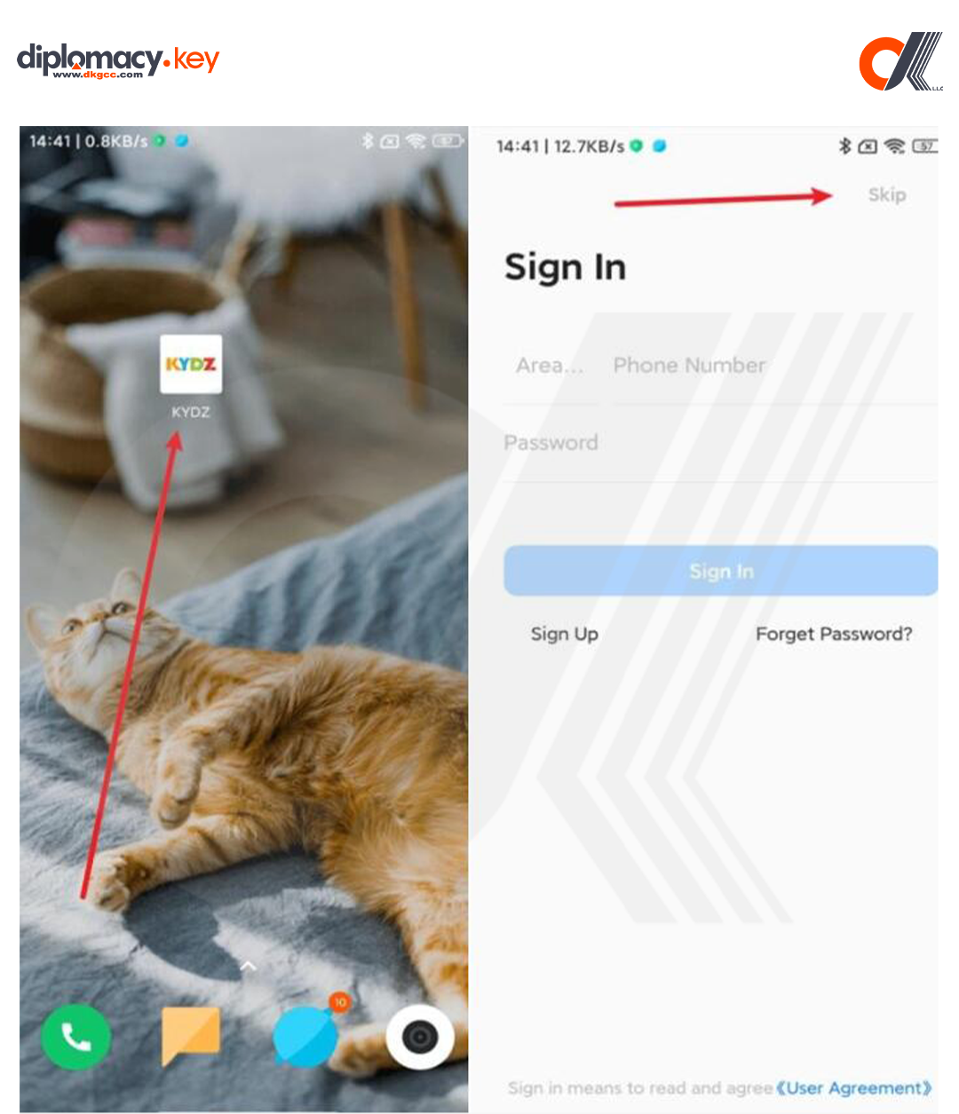 How to Use & Activate the KYDZ MLB Tool Software (3)